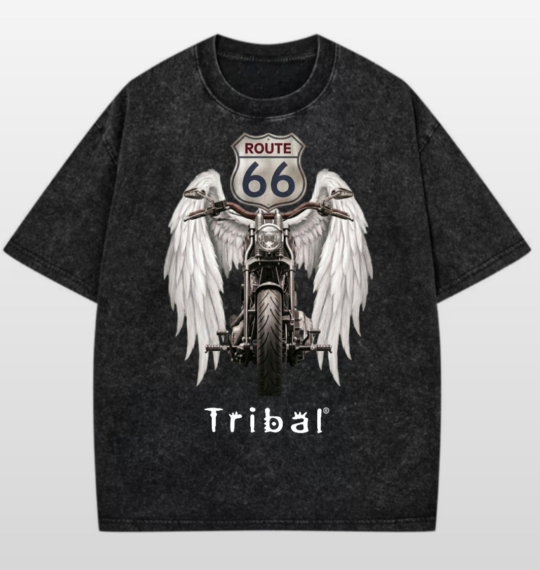 MODELO BIKE